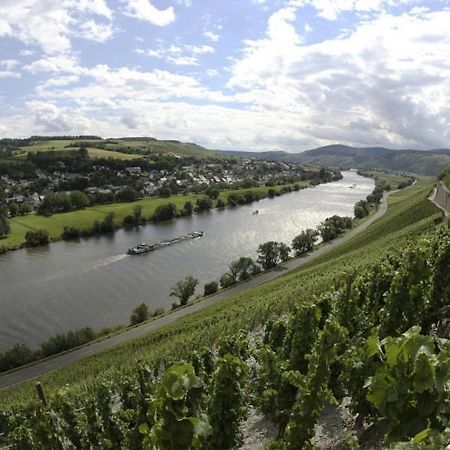 Weingut Fehres Daire Brauneberg Dış mekan fotoğraf